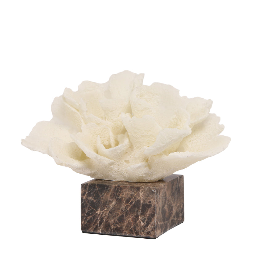 CAC10709-KM Coral Marble Sculpture - Beige