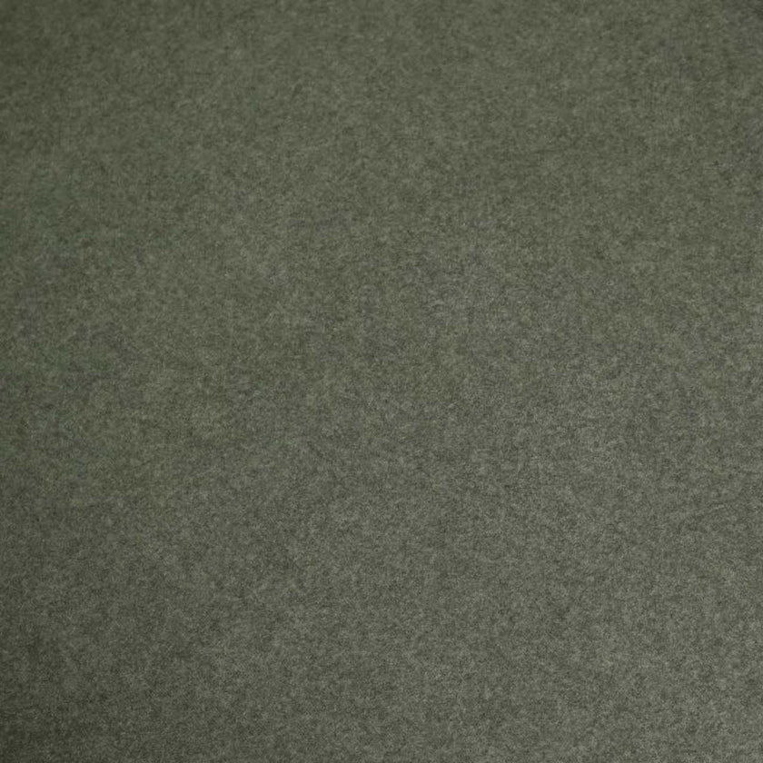 CDC12013-FH Black Dining Chair - Dark Moss Green (Set of 2)