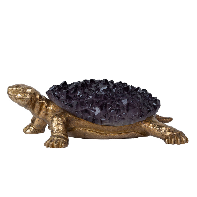 CAC12336-FC Purple-robed Golden Beetle