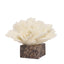 CAC10709-KM Coral Marble Sculpture - Beige