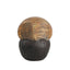 CAC10805-FC Wood Owl B