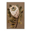 CAR12857-CLO 60 x 90cm Framed Canvas - Natural