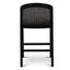 CBS10565-LJ Black Elm Barstool - Dawn Beige