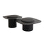CCF12564-IG Nested Coffee Table - Black