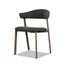 CDC12464-CI Green Dining Chair - Kaitoke Green (Set of 2)