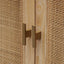 CDT8138-NI 65.5cm Rattan Door Cabinet - Natural