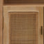CDT8138-NI 65.5cm Rattan Door Cabinet - Natural