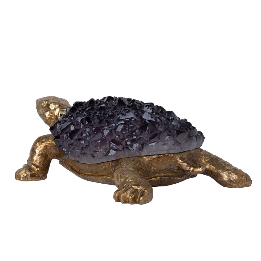 CAC12336-FC Purple-robed Golden Beetle