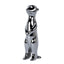 CAC12326-FC Meerkat Style A
