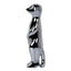 CAC12326-FC Meerkat Style A