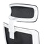 COC8257-UN Mesh Ergonomic Office Chair with Headrest - Black