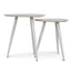 Set of 2 - CST8986-KD Side Table - White