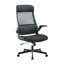 COC8251-UN Mesh Ergonomic Office Chair - Black