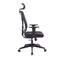 COC8256-UN Mesh Ergonomic Office Chair with Headrest - Black