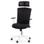 COC6208-LF Office Chair - Black and White