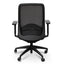COC6112-UN - Mesh Ergonomic Office Chair - Black