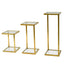 Set of 3 CST2358-KS Glass Side Table - Gold Base